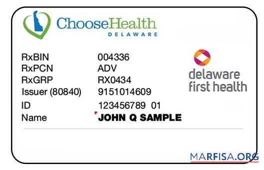 Blank Delaware health insurance card sample